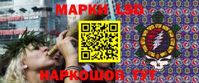 амф Кимры