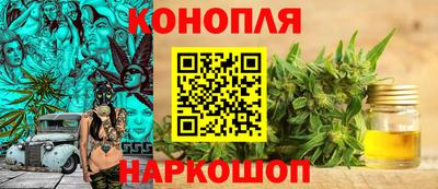 сатива Кинель