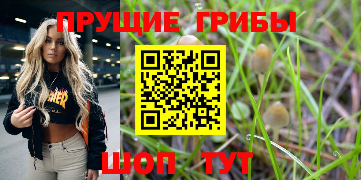 Галлюциногенные грибы ЛСД Кызыл
