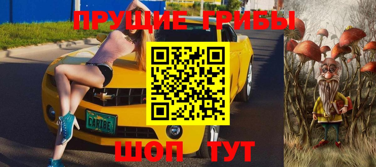 Кызыл  купить   Вход с VPN  Псилоцибиновые грибы Cubensis 